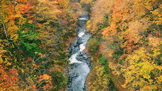 福島・会津のおすすめ観光名所である中津川渓谷の写真