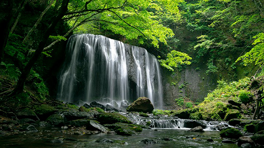 福島・会津のおすすめ観光名所である達沢不動滝の写真