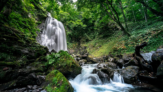 福島・会津のおすすめ観光名所である小野川不動滝の写真